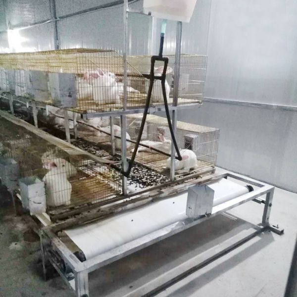 兔用自動(dòng)清糞機(jī)