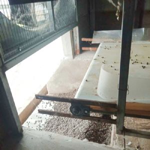 兔用自動清糞機(jī)